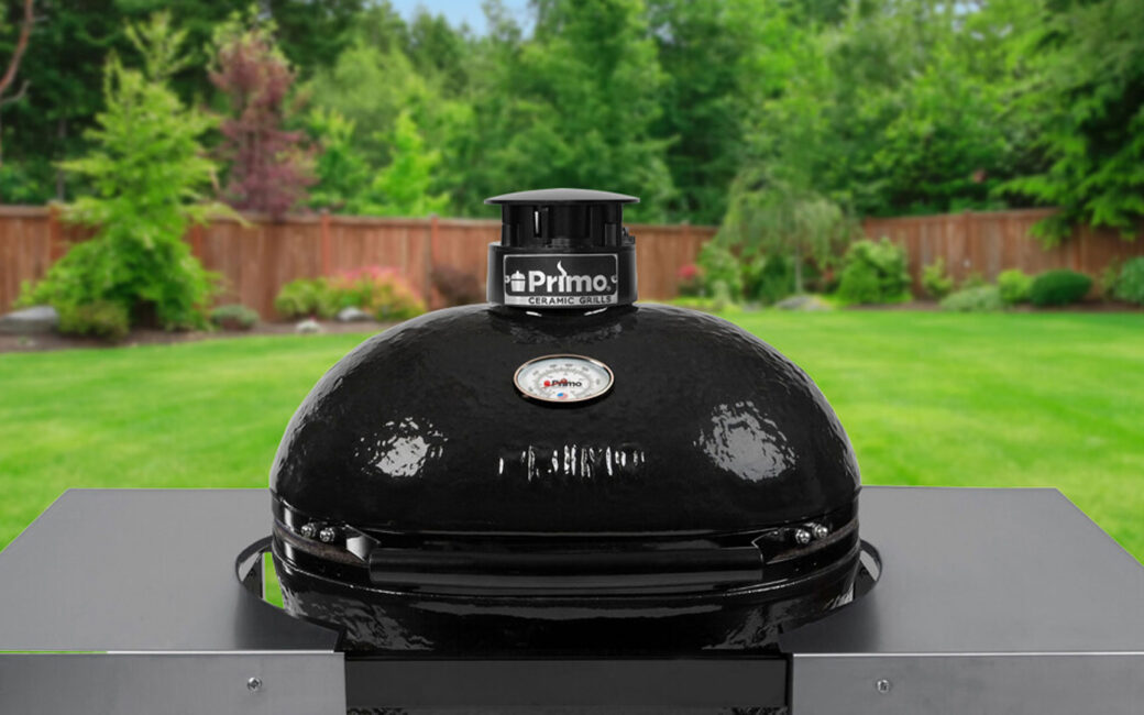 Primo grills large charcoal grill in yard
